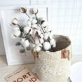 thumbnail image 4 of Cotton Stems 1 Pack with 10 Cotton Balls Per Stem 21 Inch Cotton Branches Farmhouse Decor Fall Decorations for Rustic Home, Office, Hotel, Floral Filler Wedding Centerpieces, 4 of 7