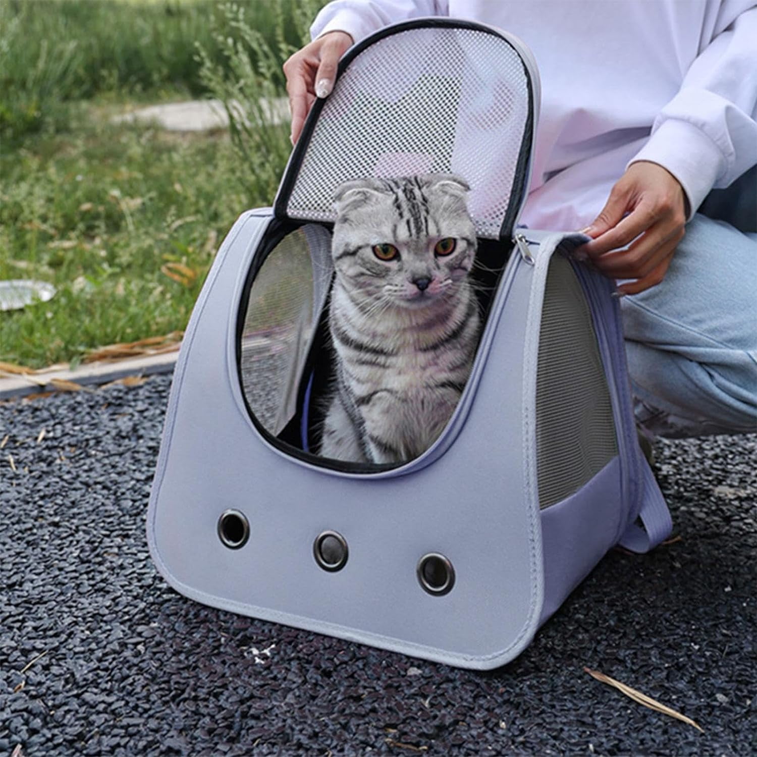 Animal carrying backpack online
