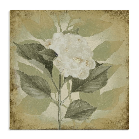 Stupell Industries Rustic Geranium Impression Plants & Flowers Painting Wrapped Canvas Art Print Wall Art, 17 x 17