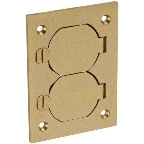 Floor Sub-Plate, Floor Box Type, 1 Gang, Brass, In-Use Cover Type