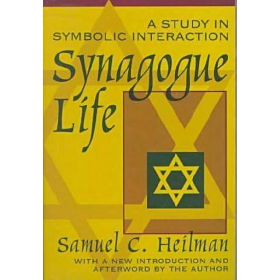 Synagogue Life: A Study in Symbolic Interaction, (Paperback)