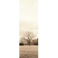 thumbnail image 2 of Blaustein, Alan 11x24 Black Ornate Wood Framed with Double Matting Museum Art Print Titled - Chestnut Tree, 2 of 4