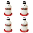 thumbnail image 1 of Little Giant PPF7 7 Gallon Automatic Poultry Waterer for Chickens, Red (4 Pack), 1 of 2