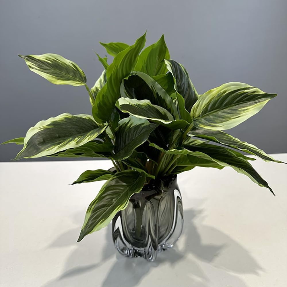 NOGIS 4Pack Variegated Hosta Artificial Plant 17.7" Faux Green Dieffenbachia Plant Greenery Aesthetic House Plants Outdoor Shrubs Indoor Office Yard UV Resistant Planter Filler