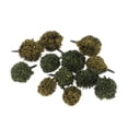 thumbnail image 1 of Mechones de hierba estática autoadhesivos Hugo 3-3,5 cm Studio Grass Tufts Flor silvestre, 1 of 8