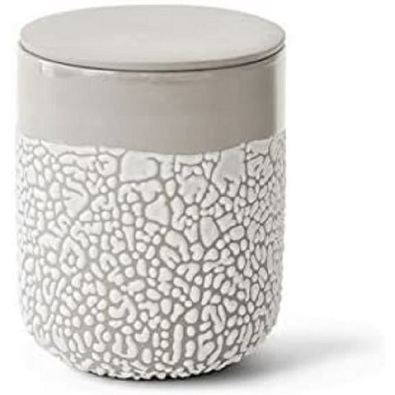 Hosley 5 inch High, Ivory Ceramic Lichen Box
