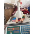 thumbnail image 6 of Duck Plush Toys Cuddly Pillow Cushion Stuff Dolls Huggable Cushion Plush Plushie Must Have Cute Toy For Holidays Stuffed Animals Valentine'S Day/Birthday/Holiday White - One Size, 6 of 8