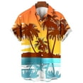 thumbnail image 3 of WAENQINLA Big and Tall Hawaiian Shirts for Men Summer Casual Tropical Printed Shirt Short Sleeve Button Down Shirt Beach Tops, 3 of 3
