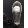 Glow In The Dark Glass Jellyfish Paperweight - Includes Illustrated Jellyfish Card and Envelope