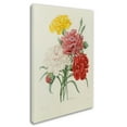 thumbnail image 3 of Trademark Fine Art "Carnations from Choix" Canvas Art by Joseph Redoute, 3 of 4
