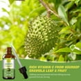 thumbnail image 4 of Soursop Graviola Liquid Drops 700mg, Soursop Leaves Extract for Immune, Gut, Antioxidant, Mood & Night Support, Soursop Bitters Liquid, High Absorption, Vegan, Natural Soursop Flavor, 2 fl oz,2 ack, 4 of 6