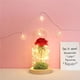 thumbnail image 5 of Naiovety Regalo del día de San Valentín Color Hoja de oro Lámpara de flor de rosa con cubierta de vidrio Adornos de decoración Lámpara de decoración Jardín y Patio Naiovety HA022015-00, 5 of 6