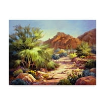 Trademark Fine Art 'Desert Beauty' Canvas Art by Maxine Johnston