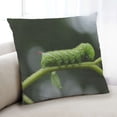 thumbnail image 1 of Ahgly Company Coussin Anti-Insectes Intérieur, 18 Pouces par 18 Pouces, 1 of 6