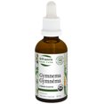 thumbnail image 1 of ST FRANCIS HERB FARM Teinture Gymne (50 ml), 1 of 4
