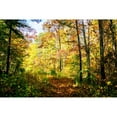 thumbnail image 3 of Hausenflock, Alan 14x11 Black Modern Framed Museum Art Print Titled - Autumn Colors, 3 of 5