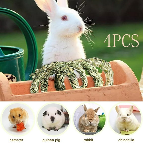 Visland 4Pcs/Set Rabbit Chew Toy - Natural Grass Ring Sticks Toys for Teeth Care, Chinchillas, Guinea Pigs, Gerbils, Rat