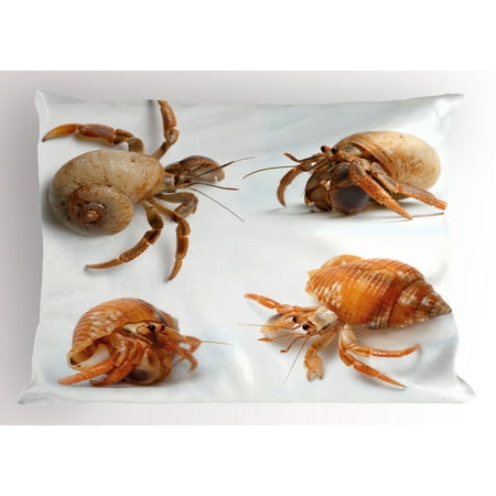Crabs Pillow Sham Sea Animals Theme Set of Hermit Crabs from Caribbean Seascape Digital Print, Decorative Standard Size Printed Pillowcase, 26 X 20 Inches, Marigold and White, by