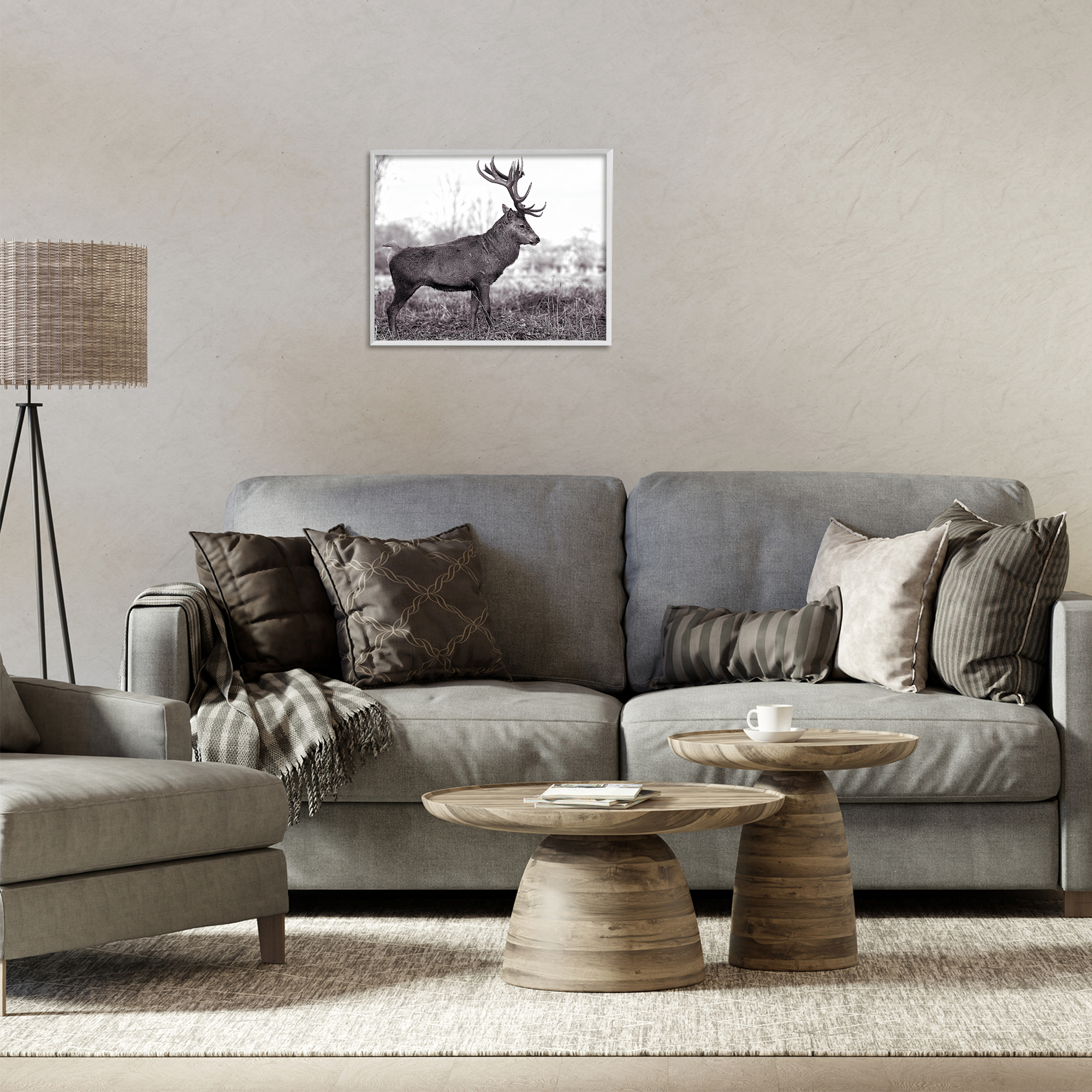 Stupell Industries Elk in Peaceful Forest Animals & Insects Photography White Framed Art Print Wall Art, 20 x 16