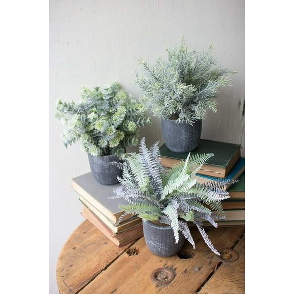 Set of 3 Realistic Artificial Botanica Greenery Ferns in Faux Cement Pots 12"H