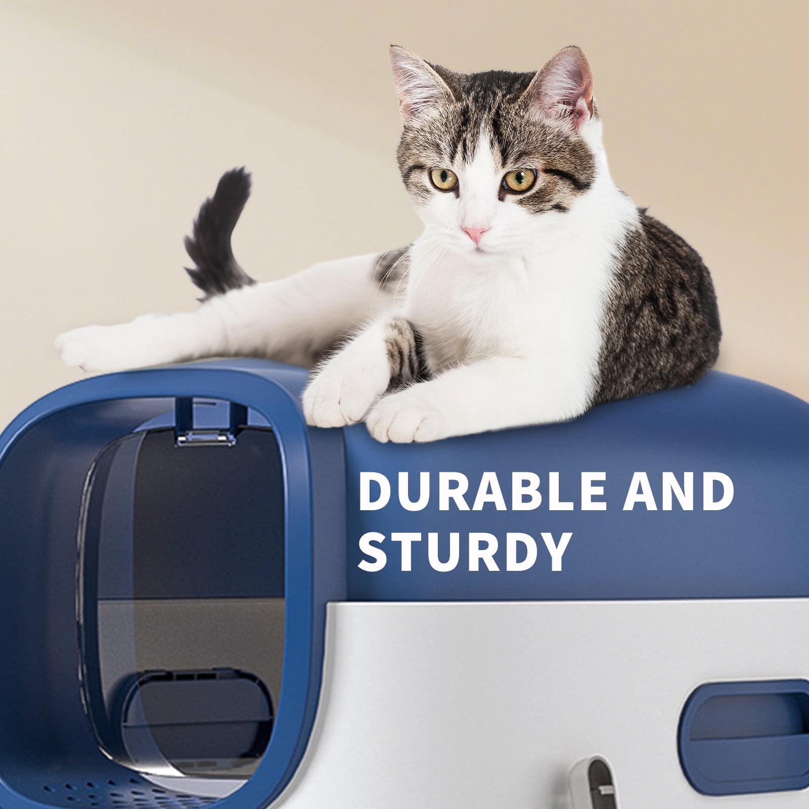 Open Design Transparent Cat Litter Box, Large Spacious Easy Entry Pet Litter Pan with Free Litter Scoop, Modern Sleek Decorative Ventilated Cat Toilet Durable Safe for Indoor Cats