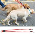 thumbnail image 5 of XYCCA Nylon Pet Double Leash Rope 2 Trigger Hooks Walking for Medium Small Dog(red)-0820, 5 of 5
