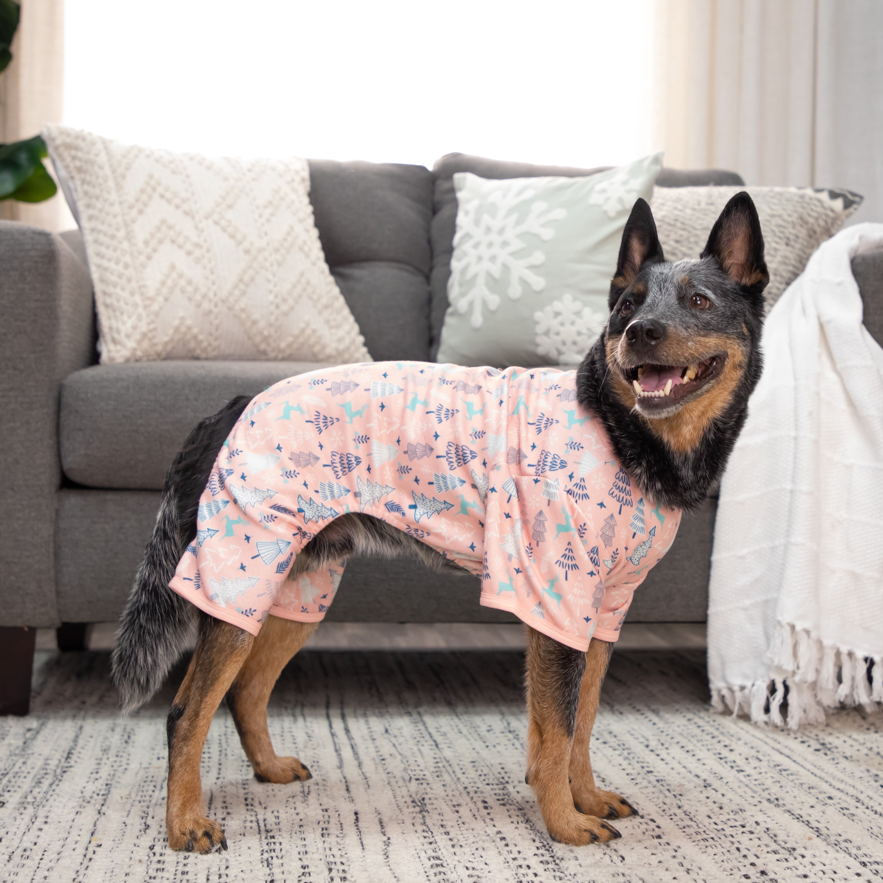 Vibrant Life, Dog Clothes, Novelty Print Pet Pajama, Pink, L