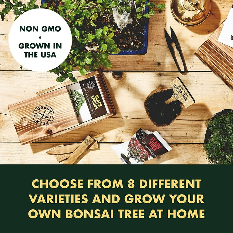 Bonsai Tree Seed Starter Kit Grow Your Own Bonsai Tree Gardening