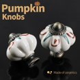 thumbnail image 5 of Ivory Pumpkin Knobs 6 Pack Ceramic Cabinet Knobs Vintage Drawer Pulls - Antique Dresser Pulls with Screws - Flowers & Aloe Vera, 5 of 7