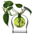 thumbnail image 6 of Couronne Company Ball Recycled Glass Vase and Arched Metal Stand, Aphrodite Bud Vase, Lime, 1 Piece, 6 of 6