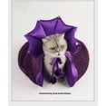thumbnail image 5 of New Purple Halloween Pet Costume Witch Cape Hat for Cats Dogs Easter Holiday Cloak, 5 of 12