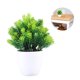 thumbnail image 2 of 1 pieza de adorno de planta de simulación, bonsái artificial, decoración de escritorio para el hogar., 2 of 7