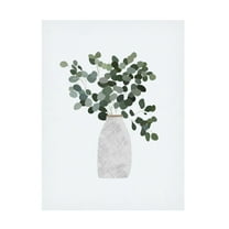 Trademark Fine Art Sarah Manovski Scandi Japandi House Plant 3 Canvas Wall Art