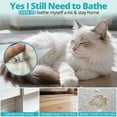thumbnail image 7 of PETRIBE Cat Waterless Shampoo, No Rinse Dry Bath Foam, Hypoallergenic & Detangling, Odor Control,Vet-Recommended for Kittens/Cats, 7 of 7
