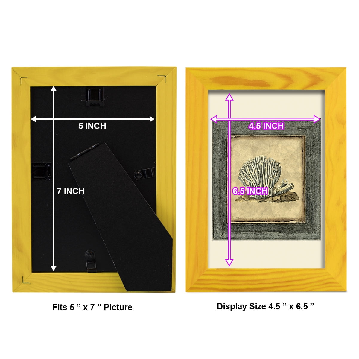 Mini Exotic Coral IX (U) - Framed Print w/glass - Sunflower Yellow