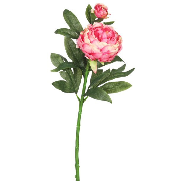 Vickerman 24" Artificial Pink Peony Stem Featuring 2 Blossoms (3 Per