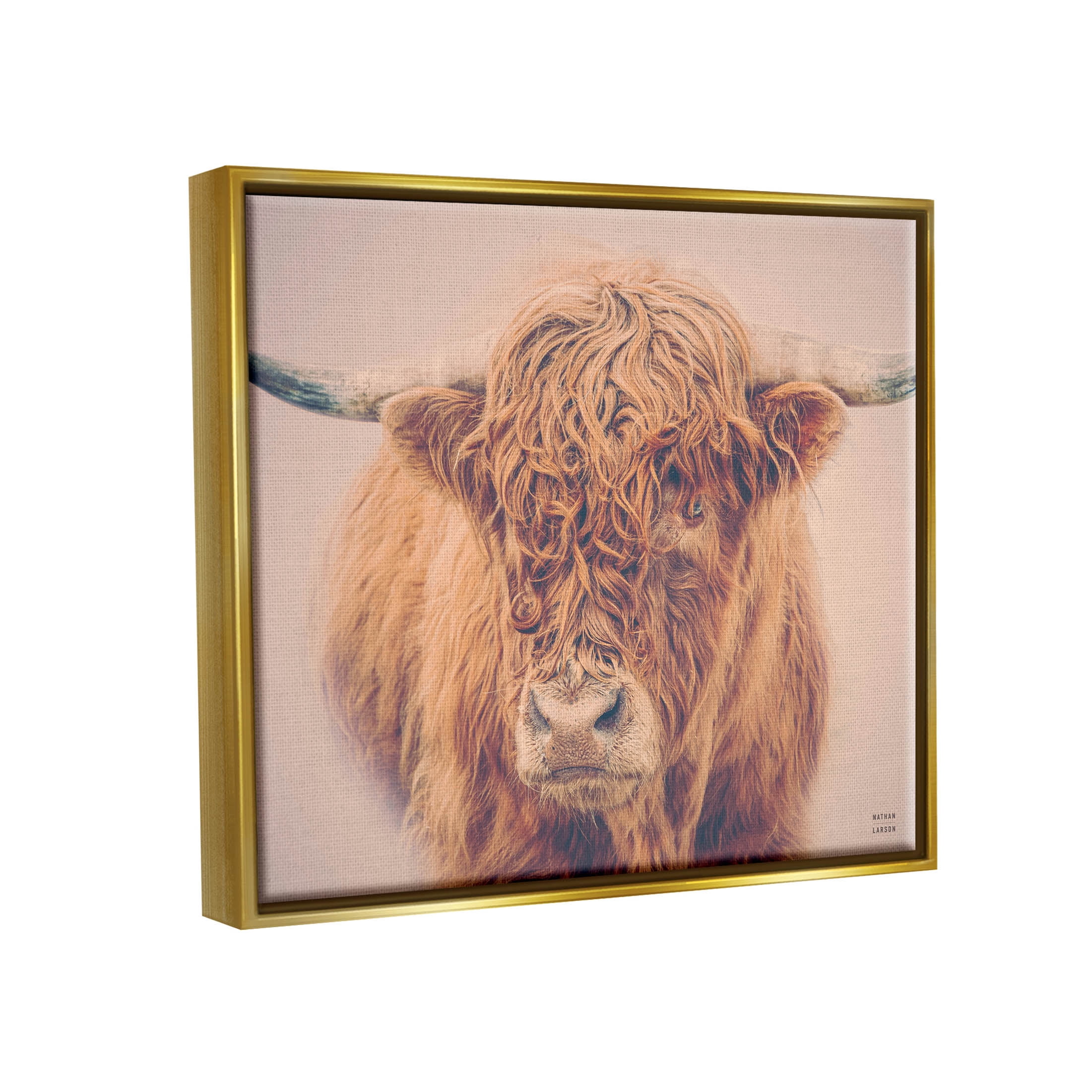 Stupell Industries Highland in Winter Fog Brown Cow Photograph Metallic Gold Floating Framed Canvas Print Wall Art, Design by Nathan Larson