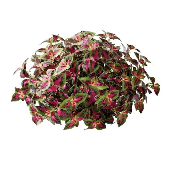 Artificial Coleus Leaves Faux Greenery Stems 14 Inch Durable Decorative Fake Organizerts for Background Wall Hanging Basket Porch Decor Purple Green Indoor Outdoor 5 Pack