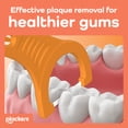 thumbnail image 2 of Plackers® Gum Defense Floss Picks with Vitamin C, Energizing Tangerine Flavor, GentleFloss, 75 Count, 2 of 7