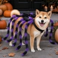 thumbnail image 4 of Realistic Halloween Spider Dog Costume Adjustable Self-Adhesive Straps, Funny Dog Halloween Costumes, Halloween Pet Parades Photo Sessions, 4 of 6