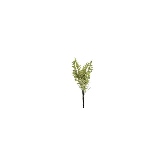 36" Fern Spray Stem-Color:Green,Style:Botanical