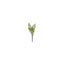 36" Fern Spray Stem-Color:Green,Style:Botanical