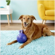 Jolly Pets 881107 Joly Tug-N-Toss Pur 8
