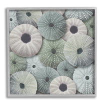 Stupell Industries Abstract Sea Urchins Nature Painting Gray Framed Art Print Wall Art, 17 x 17