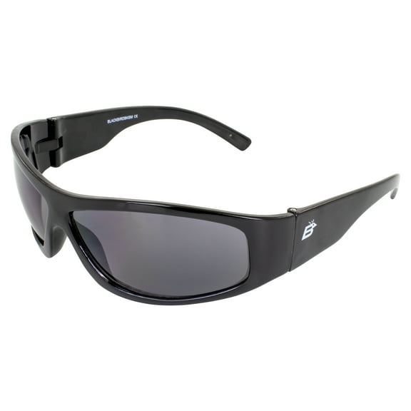 Birdz Eyewear Blackbird Sport Motorcycle Riding Sunglasses Black Frame with Smoke Lens
