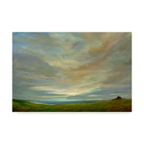 Trademark Fine Art 'Coastal Sky' Canvas Art by Sheila Finch