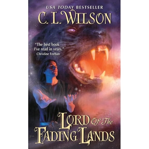 Pre-Owned Lord of the Fading Lands: 1 (Tairen Soul, 1) Paperback