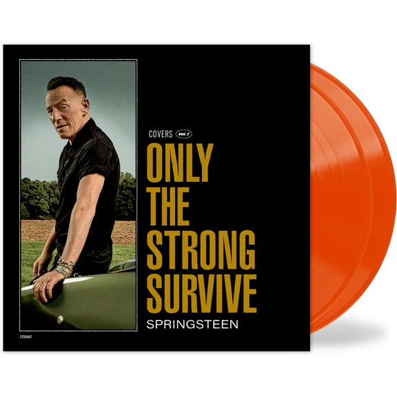 Bruce Springsteen - Only The Strong Survive - Music & Performance - Vinyl