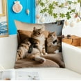 thumbnail image 6 of Qiweii 45x45cm Cute Animal-Print Pillow Set, Soft Sofa Living Room Bedroom Cushions, Decorative Home Accent Pillows, 6 of 6