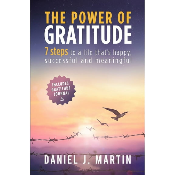 Self-Help and Personal Development The power of gratitude: 7 steps to a happier, more successful and more meaningful life, (Paperback)